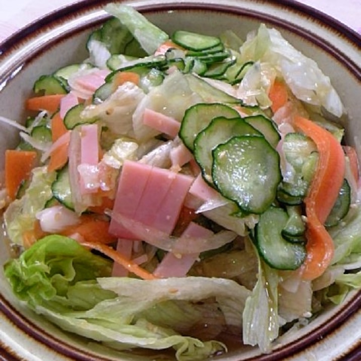 甘めのドレッシングde新鮮生野菜サラダ レシピ 作り方 By Tactac 楽天レシピ 甘めのドレッシングde新鮮生野菜サラダ レシピ 作り方 By Tactac 楽天レシピ